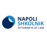 Napoli-Shkolnik-Logo New